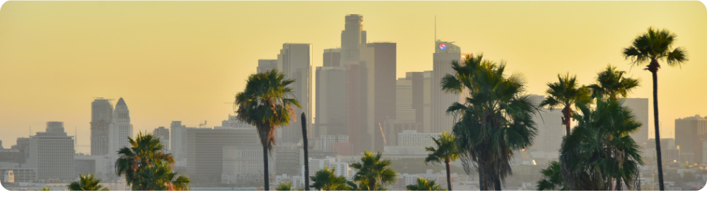 calibanner